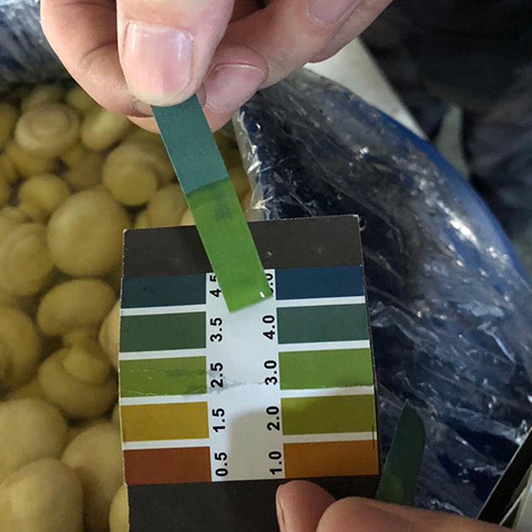 PH Scale