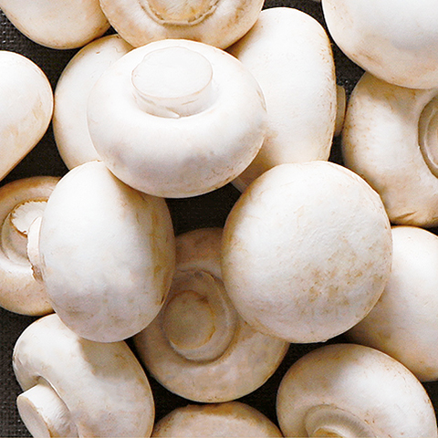 Mushrooms