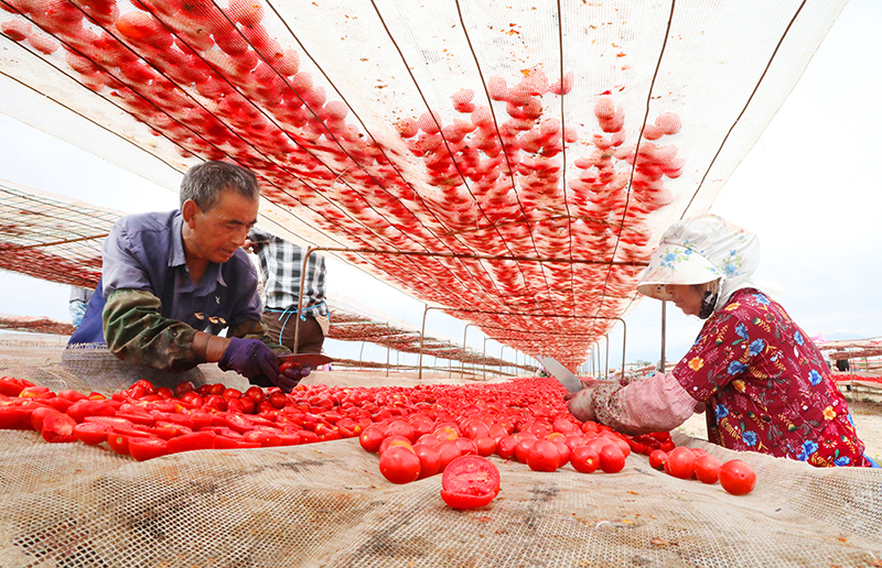Dried Tomatoes
