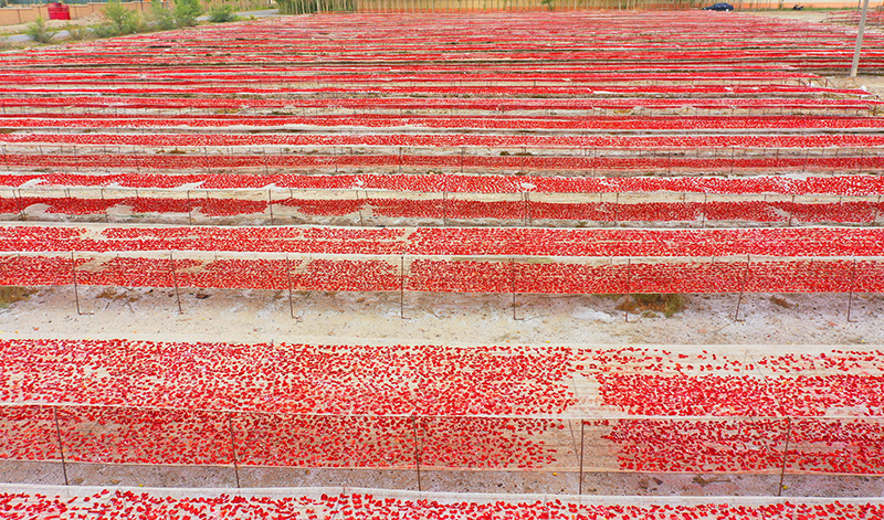 Dried Tomatoes