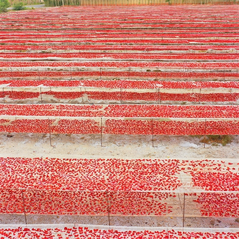 Sun-Dried Tomatoes