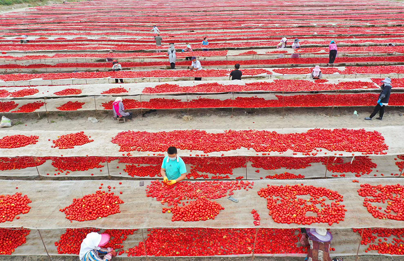 Dried Tomatoes