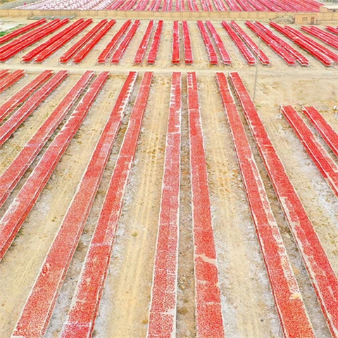 Sun-Dried Tomatoes