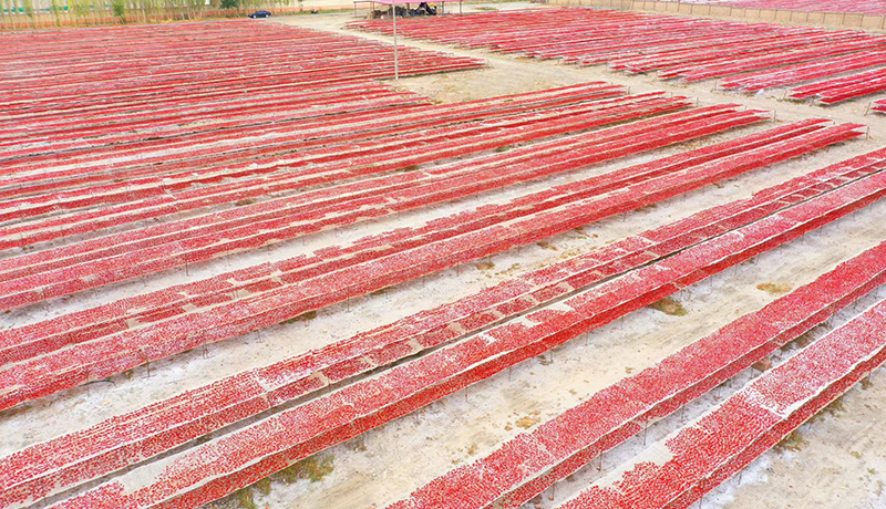 Dried Tomatoes