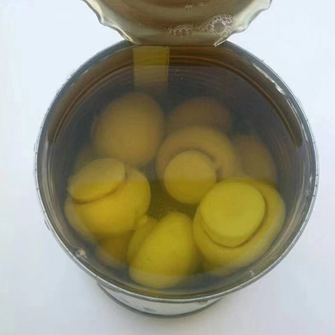 Canned Mus... 