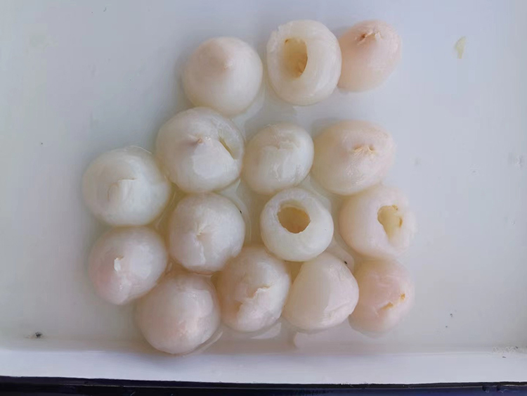 罐头食品
